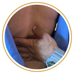 Gonstead Motion Palpation lakeland fl